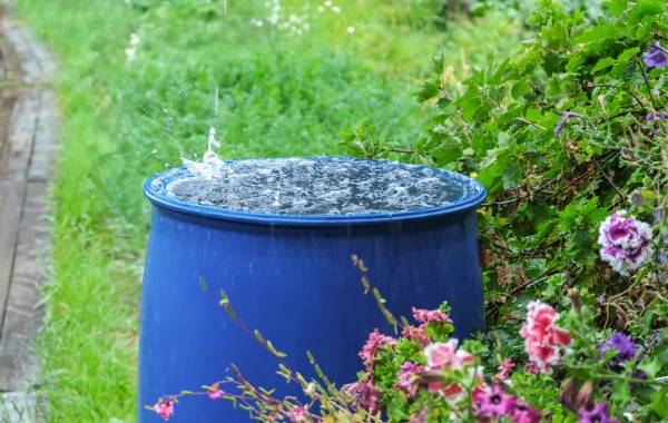 Gestion des eaux de pluie à Valenciennes